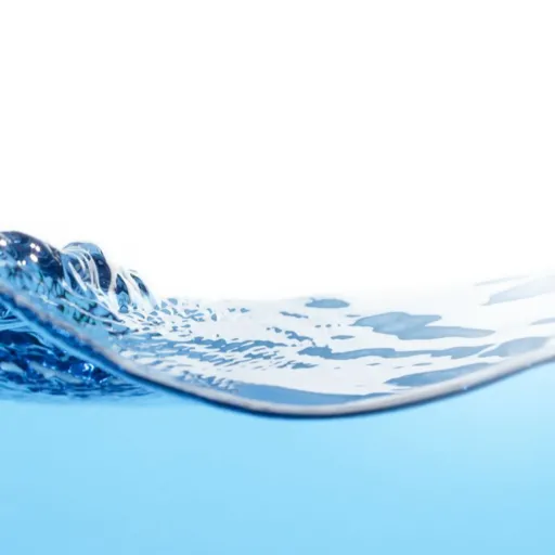 Reverse Osmosis Water